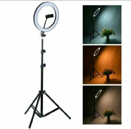 Professional 26cm LED Ring Light with 7-Foot Tripod Stand & Mobile Holder